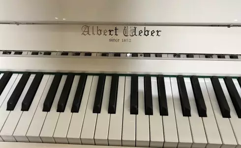 انواع پیانو آکوستیک پتروف